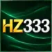 HZ333 Game